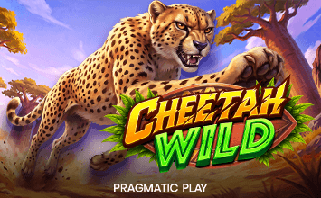 Cheetah Wild